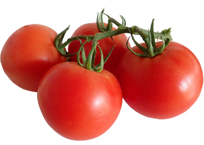 How To Care For Tomatoes